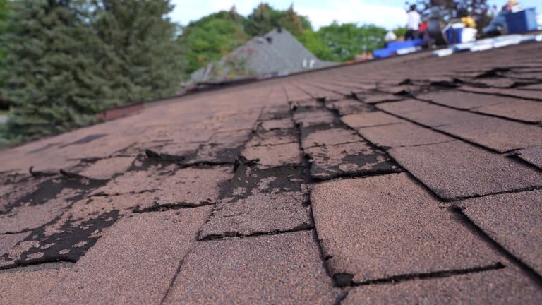 Best Green or Eco-Friendly Roofing Solutions  in USA